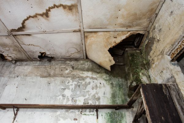 Cost of Water Damage Service in Westerville