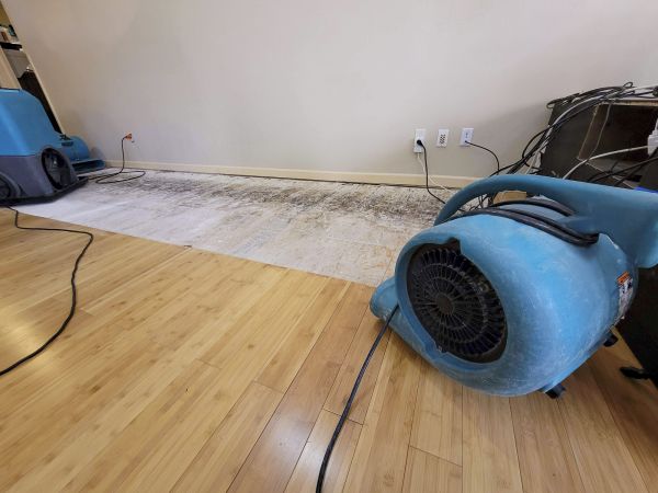 Cost of Water Damage Mitigation in Westerville