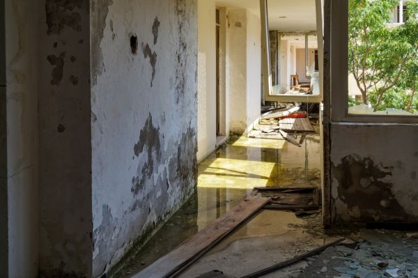 Cost of Water Removal Service in Westerville