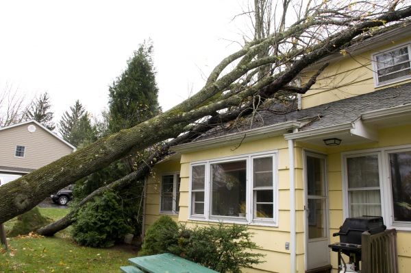 Hurricane Damage Repair in Westerville