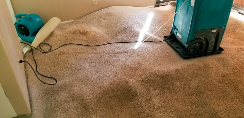 Wet Carpet Restoration
